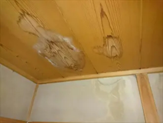 天井にできた雨染み